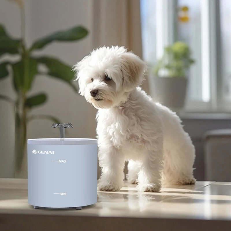 Fonte de água sem fio para cães e gatos 1,6l, sensor automático, dispensador de água para animais de estimação, acessórios ultra-silenciosos